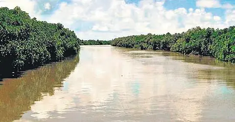 uploads/206152448_TNIE_import_2021_7_8_original_bhitarkanika_national_park.webp