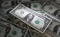 uploads/263180824_paisa.webp