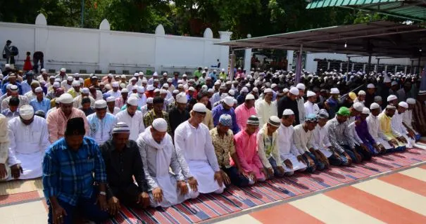 uploads/318125514_EID.webp