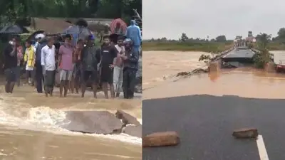 heavy rain batters life in southern odisha
