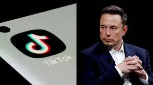 uploads/6151508_elon.webp